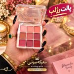 پالت رژلب 9 رنگ نود در معرکه بیوتی در دست خانم