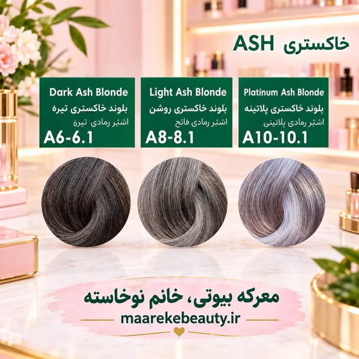 کاتالوگ رنگ مو پیکارو سری خاکستری: کاتالوگ و سمپل‌های رنگ مو پیکارو سری خاکستری ASH