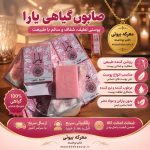جعبه و قالب صابون گیاهی یارا ارگانیک در دستان با ویژگی‌های درج شده در معرکه بیوتی